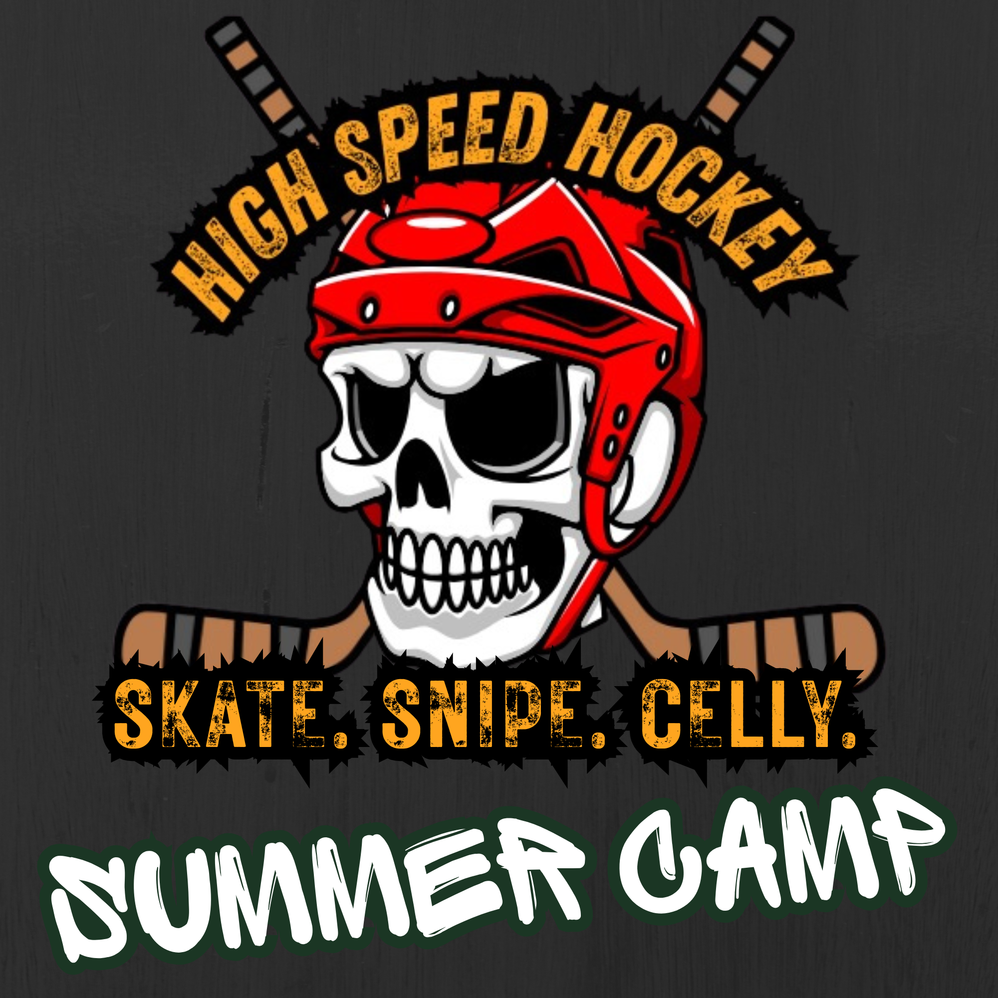 High Speed Hockey Summer Camp